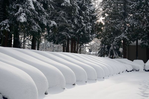 EN IMAGES: magnifiques paysages de neige (12)