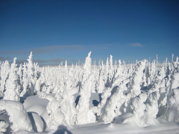 EN IMAGES: magnifiques paysages de neige (19)