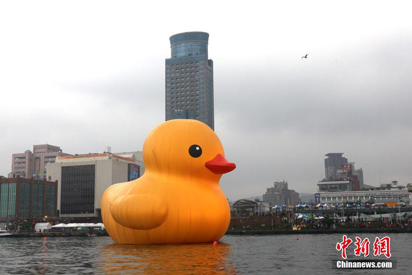 Le 21 décembre, le célèbre canard géant jaune a fait son apparition officielle dans le port de Jilong, à Taiwan. Le nombre des visiteurs n'a pas été aussi important que prévu à cause du temps froid et de la pluie. La photo présente un cormoran volant au-dessus du canard géant jaune. Source : China News Service [Photo / Donghuifeng]