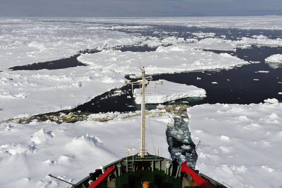 Le brise-glace chinois Xuelong, ou Dragon des Neiges, navigue dans une mer de glace dans l'Antarctique, le 19 décembre 2013. [Photo / Xinhua]