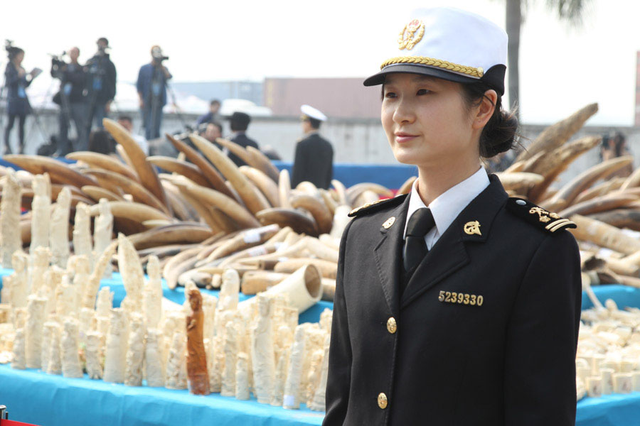 La Chine détruit 6,1 tonnes d'ivoire illégal (4)
