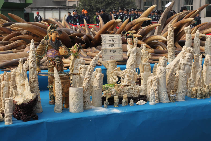 La Chine détruit 6,1 tonnes d'ivoire illégal (2)