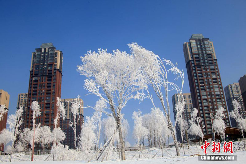 Jilin : la beauté glacée des rives du fleuve Songhua (2)