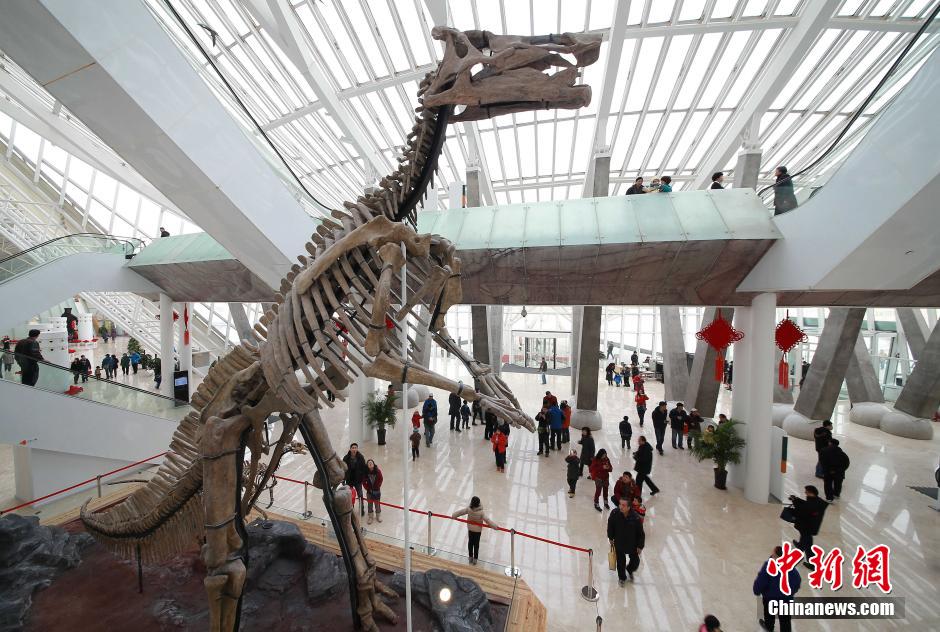 Ouverture du nouveau musée de la nature de Tianjin