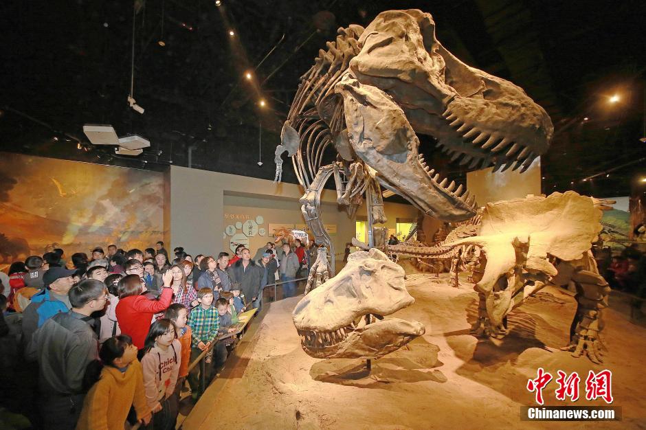 Ouverture du nouveau musée de la nature de Tianjin (3)