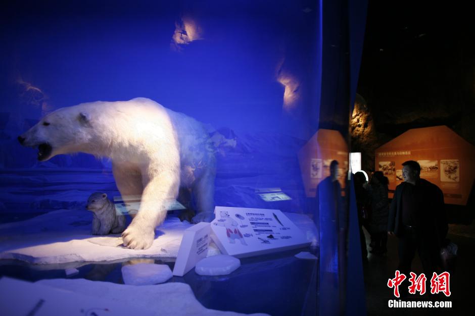 Ouverture du nouveau musée de la nature de Tianjin (2)