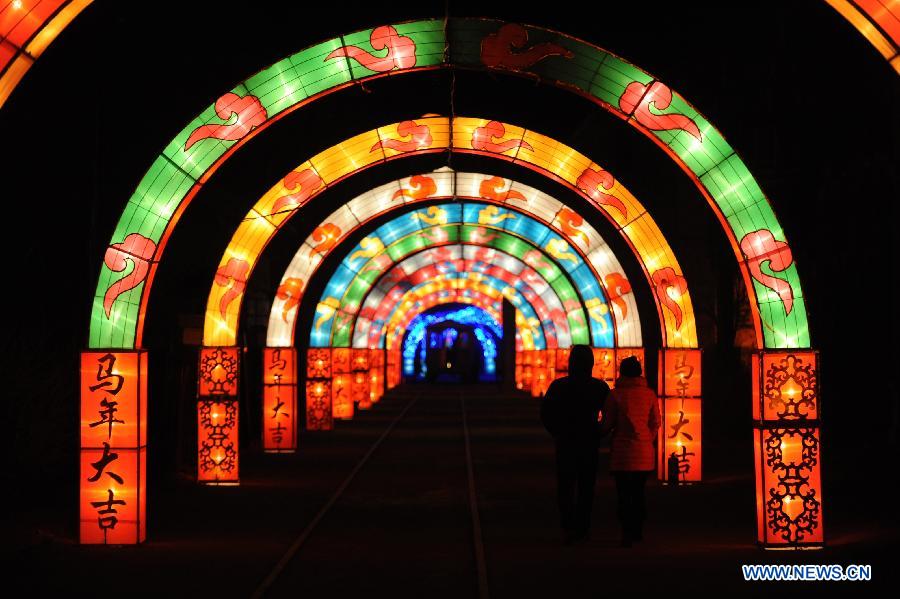 Chine: exposition de lanternes pour célébrer la Fête du Printemps à Shenyang (2)