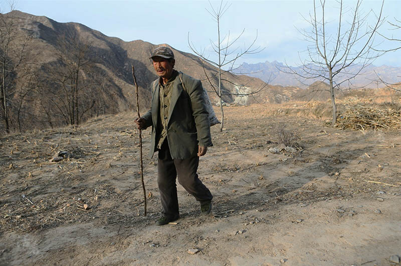 Wu Diancai, 80 ans, vit seul au sommet d'une montagne. Régulièrement,il doit aller chercher de l'eau dans la vallée, n'ayant pas l'eau courante dans sa maison. [Photo/qq.com ]