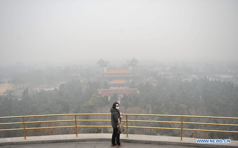 Le grave smog persiste à Beijing (2)