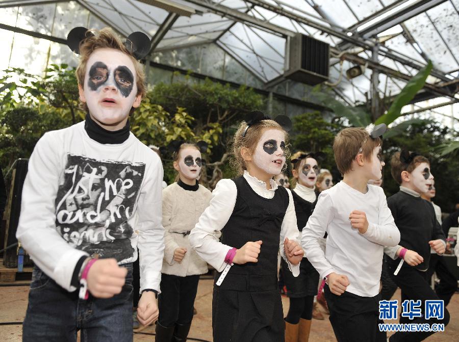 Les pandas reçus comme des rockstars en Belgique (6)