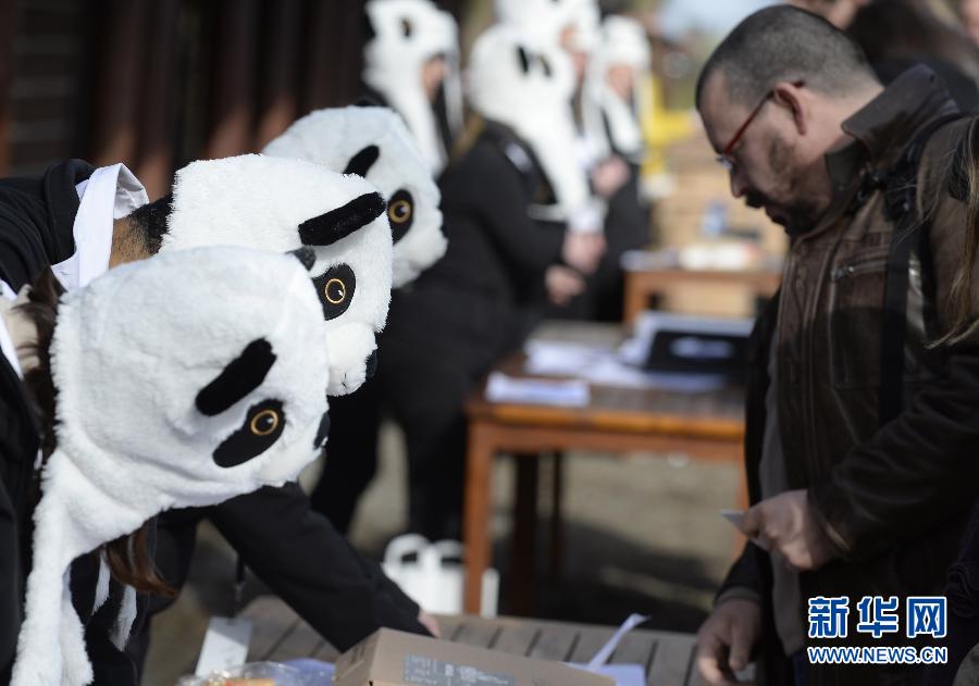 Les pandas reçus comme des rockstars en Belgique (9)