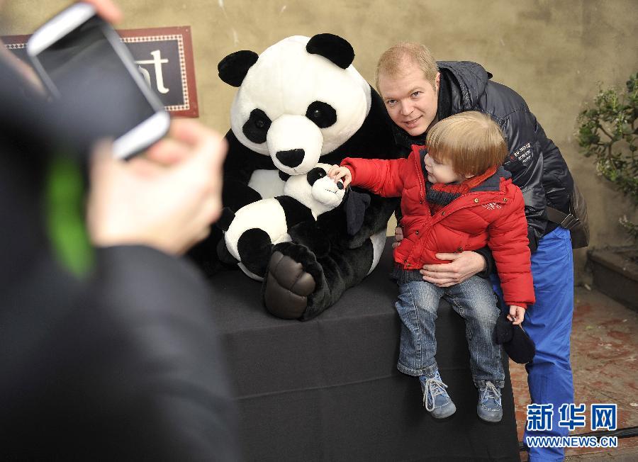 Les pandas reçus comme des rockstars en Belgique (5)