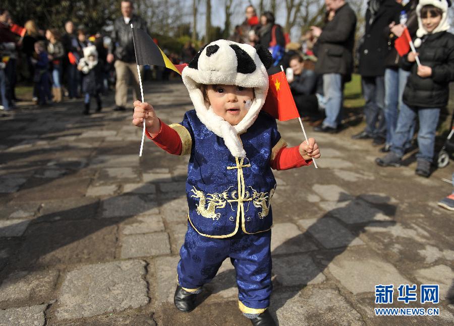 Les pandas reçus comme des rockstars en Belgique (7)