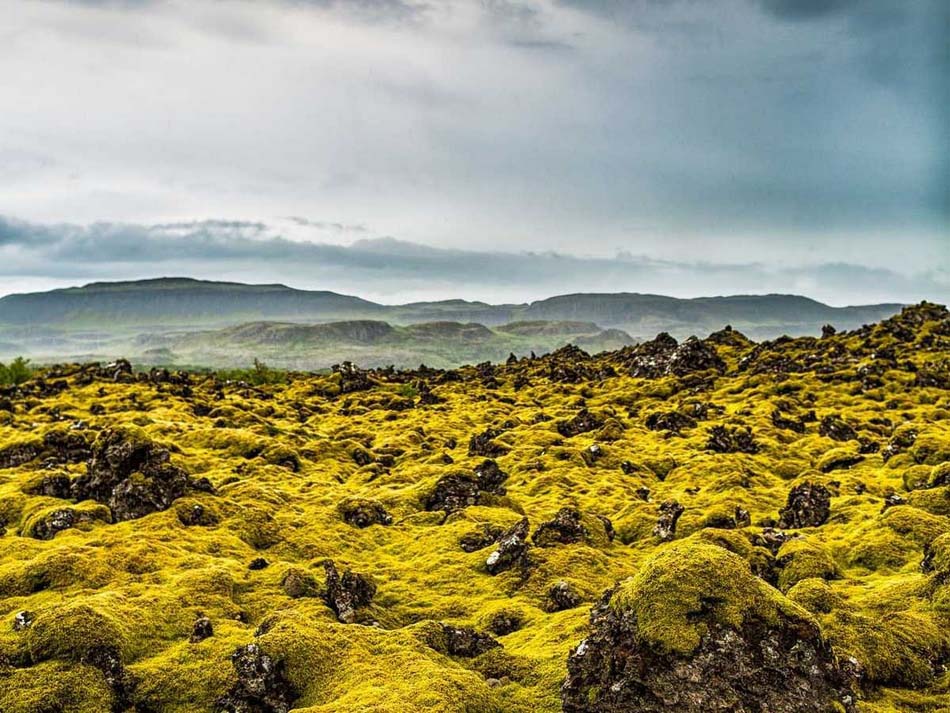 Découvrez les paysages magnifiques de l'Islande (8)