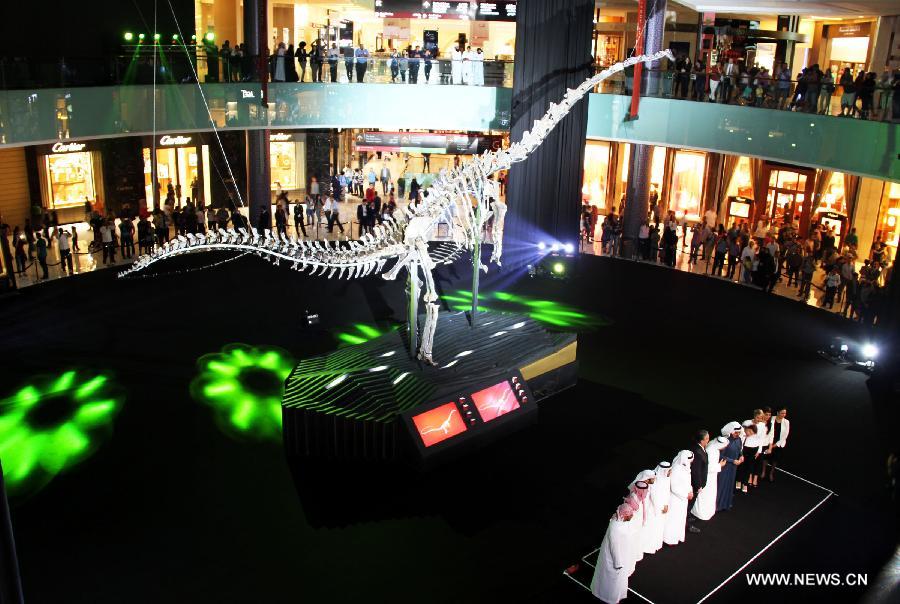 Le squelette d'un dinosaure de 155 millions d'années exposé dans le centre commercial de Dubaï