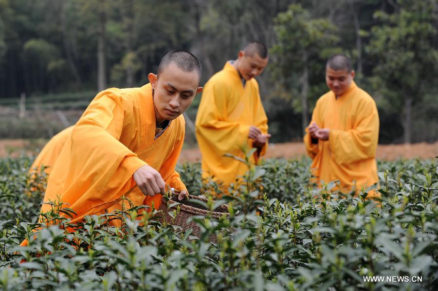 Hangzhou: le thé zen des moines du Temple de Fajing (6)