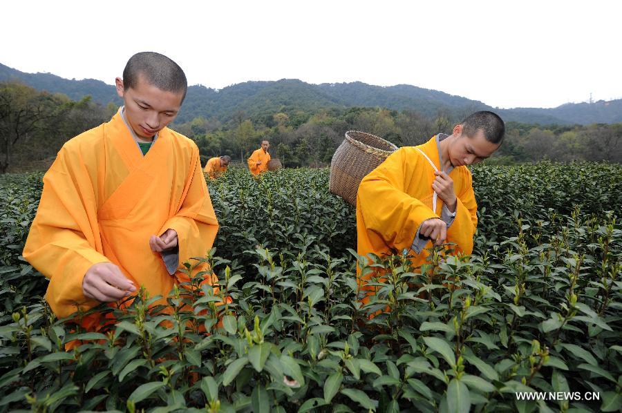 Hangzhou: le thé zen des moines du Temple de Fajing (5)