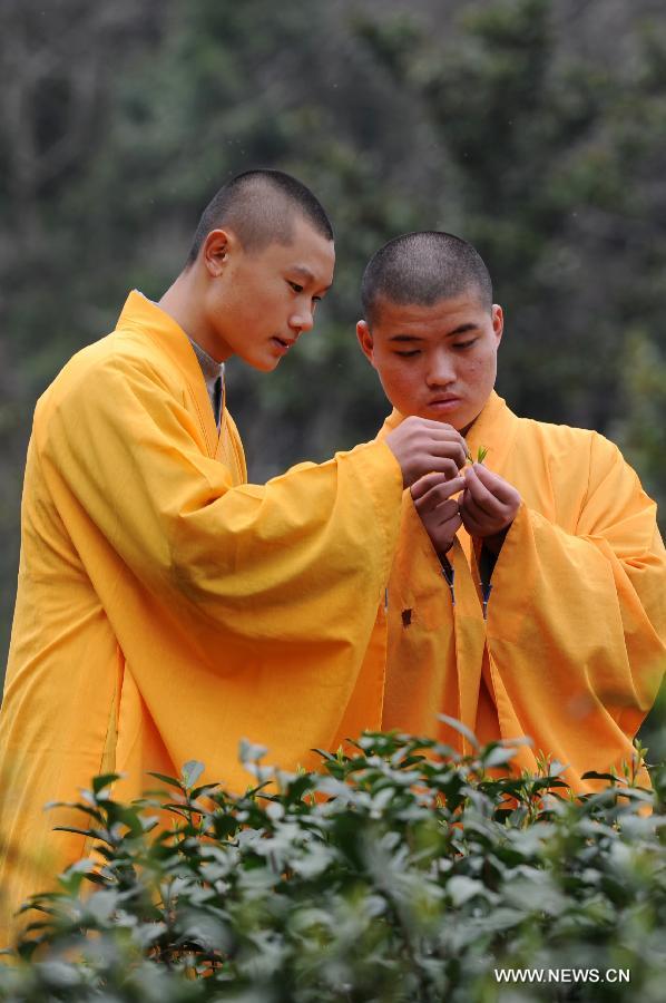 Hangzhou: le thé zen des moines du Temple de Fajing (4)