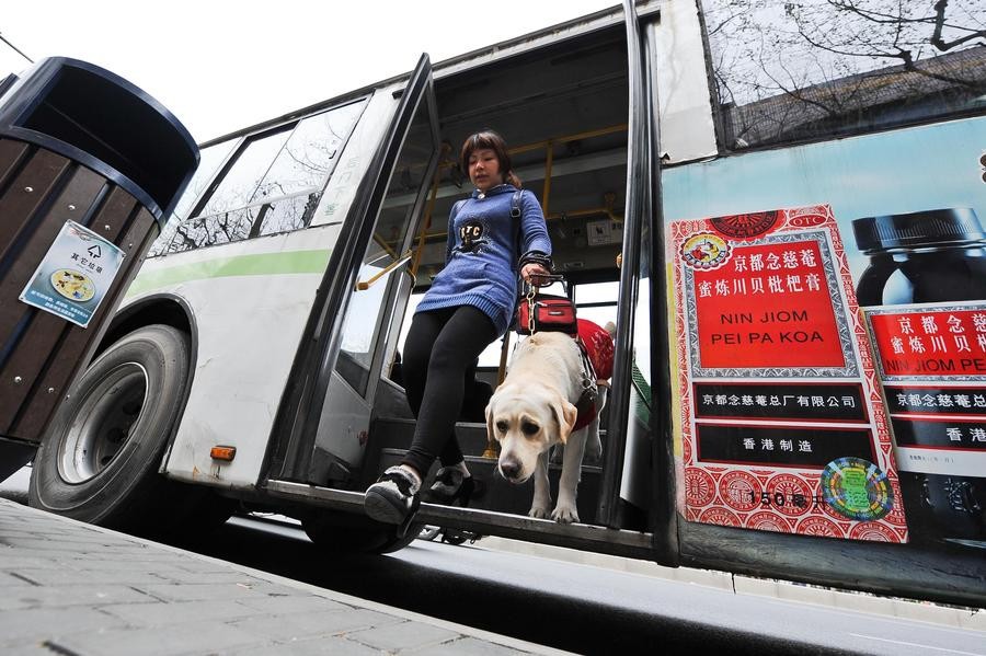 Chen Xin descend d'un bus avec l'aide de son chien-guide, le 1er avril à Shanghai. [Photo / Xinhua]