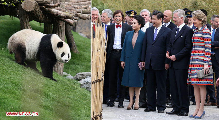 Le président chinois Xi Jinping et le roi Philippe de Belgique, ainsi que leurs épouses, ont inauguré une maison des pandas dans un zoo local, dans une volonté de marquer l'amitié entre les deux parties, le 30 mars 2014 à Brugelette.