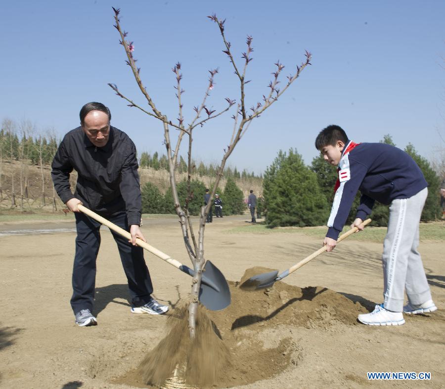 Xi Jinping appelle à des efforts d'afforestation inlassables (9)