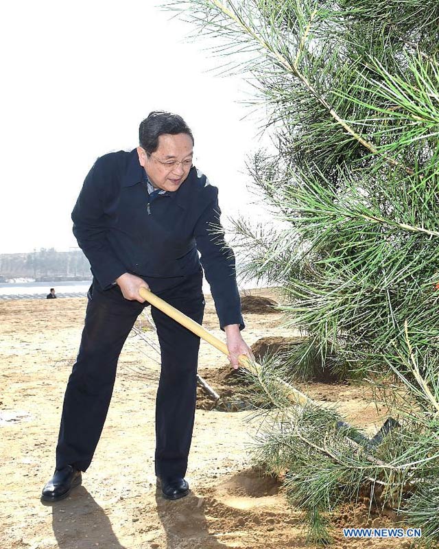 Xi Jinping appelle à des efforts d'afforestation inlassables (7)