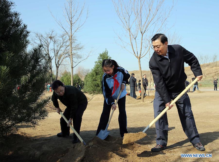 Xi Jinping appelle à des efforts d'afforestation inlassables (6)