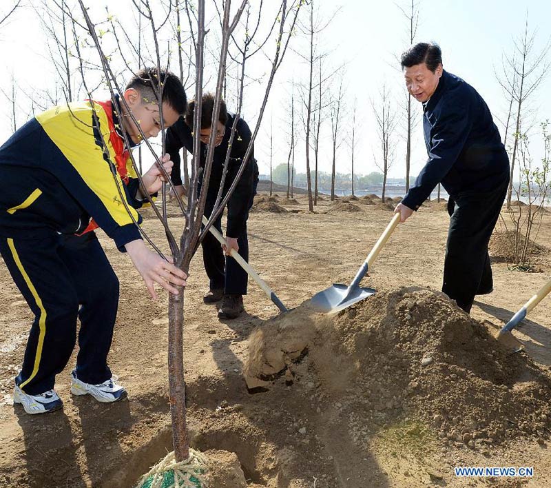 Xi Jinping appelle à des efforts d'afforestation inlassables (3)