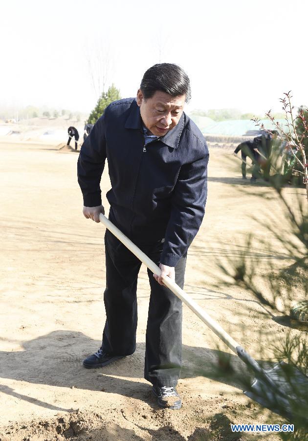 Xi Jinping appelle à des efforts d'afforestation inlassables (2)