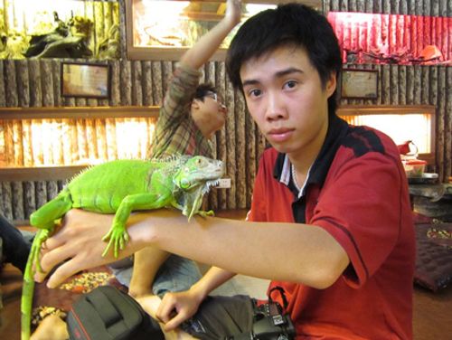 Viêt-Nam : prenez votre café avec des reptiles !