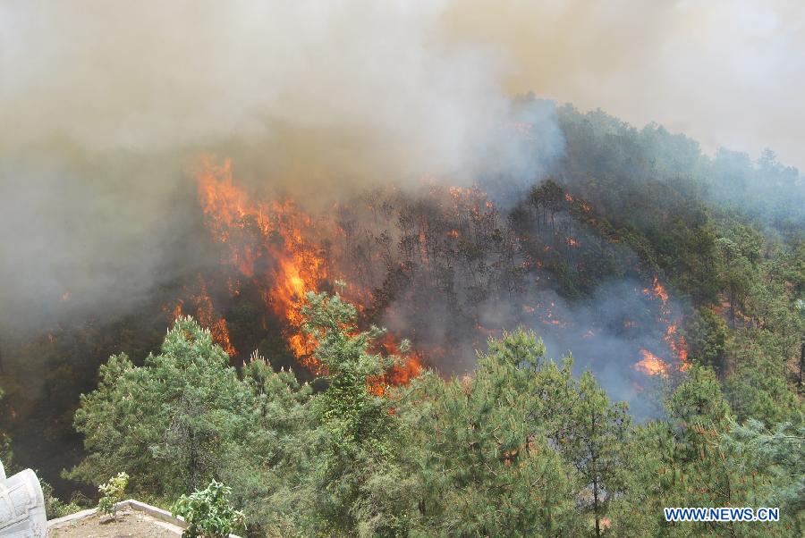 Plus de 4.500 personnes mobilisées pour éteindre un feu de forêt au Yunnan (4)
