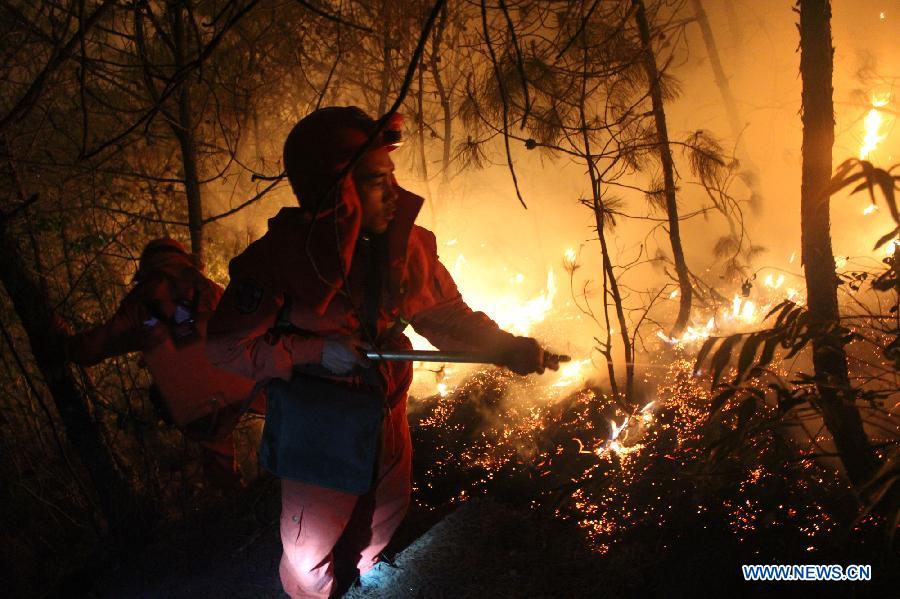 Plus de 4.500 personnes mobilisées pour éteindre un feu de forêt au Yunnan (3)
