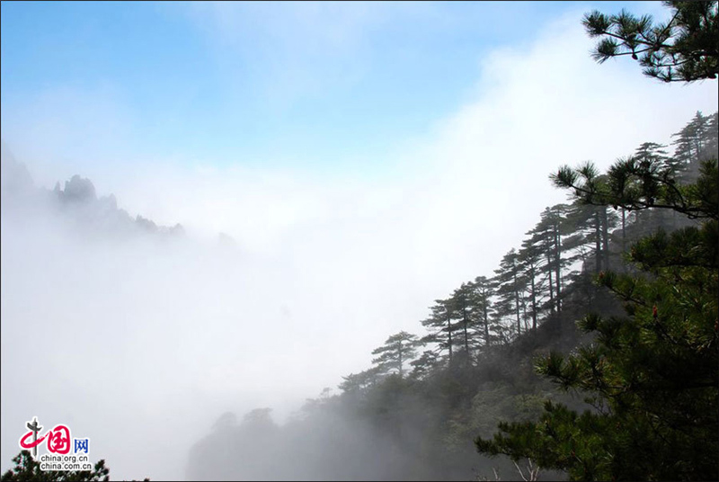 Le mont Huangshan dans une mer de nuages (3)