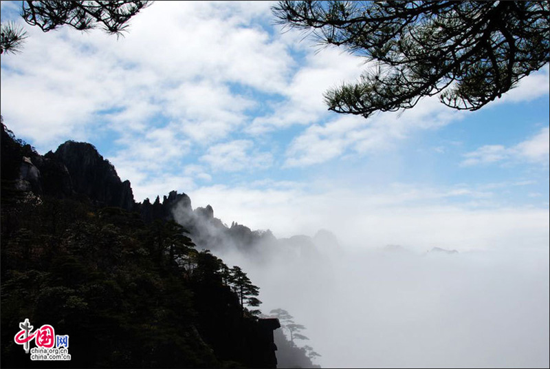 Le mont Huangshan dans une mer de nuages