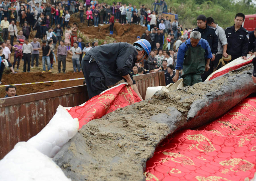 Un ébène de 4000 ans découvert en Chine (5)