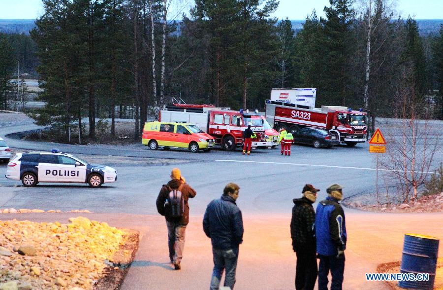 Huit morts dans le crash d'un avion dans le sud-ouest de la Finlande