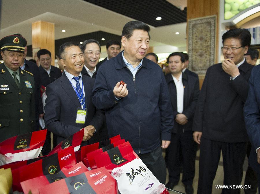Xi Jinping : la stabilité du Xinjiang est vitale pour toute la nation (2)