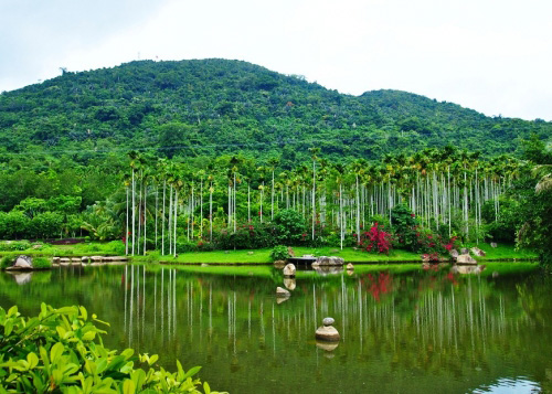 La zone touristique de la jungle de Yanoda (Hainan)