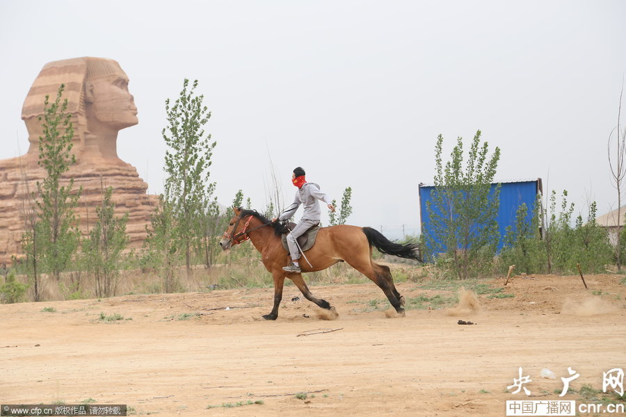 Un sphinx d'Egypte dans le Hebei (2)