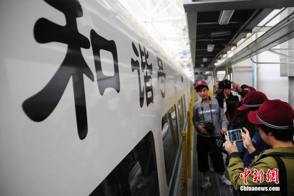 Trains à grande vitesse dans le Xinjiang : «harmonie» sur la bonne voie (6)