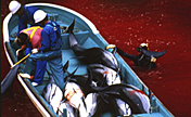Des pêcheurs japonais massacrent des dauphins