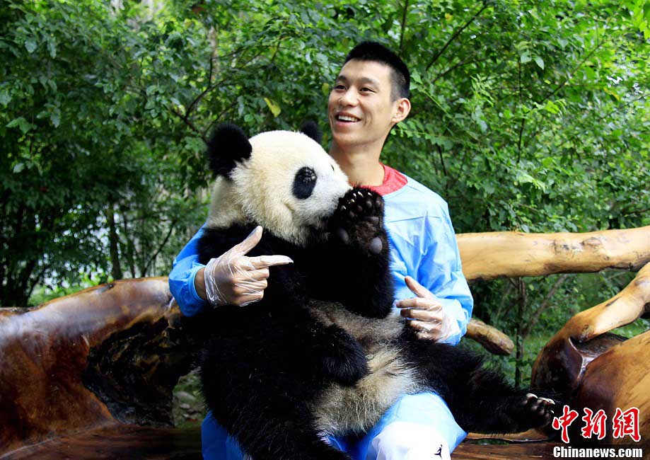 Jeremy Lin rend visite aux pandas de Chengdu 