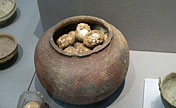Exposition d'œufs fossilisés vieux de 2 800 ans à Nanjing